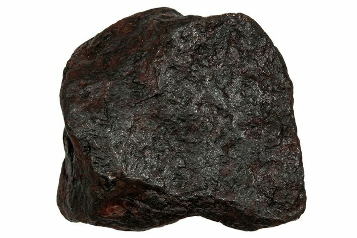 Canyon Diablo Iron Meteorite ( g) - Arizona #336032